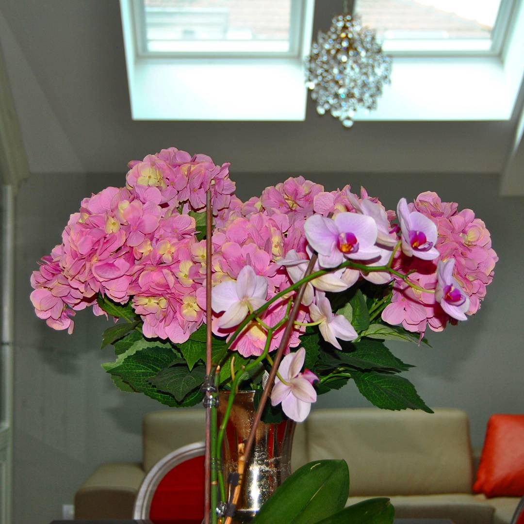 multiKUL Srbija, Mikveh, 3