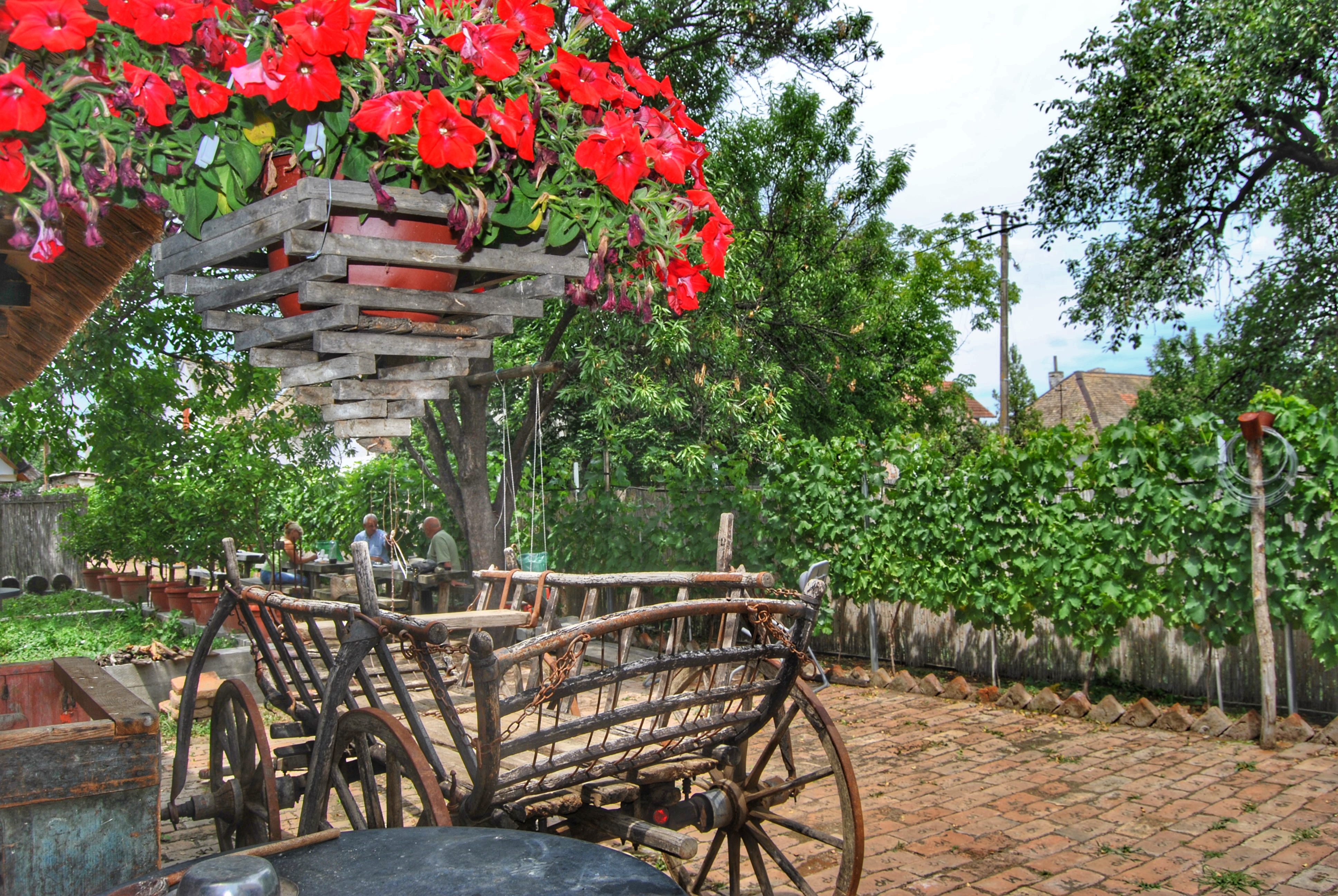 multiKUL Srbija-Svabe, 8