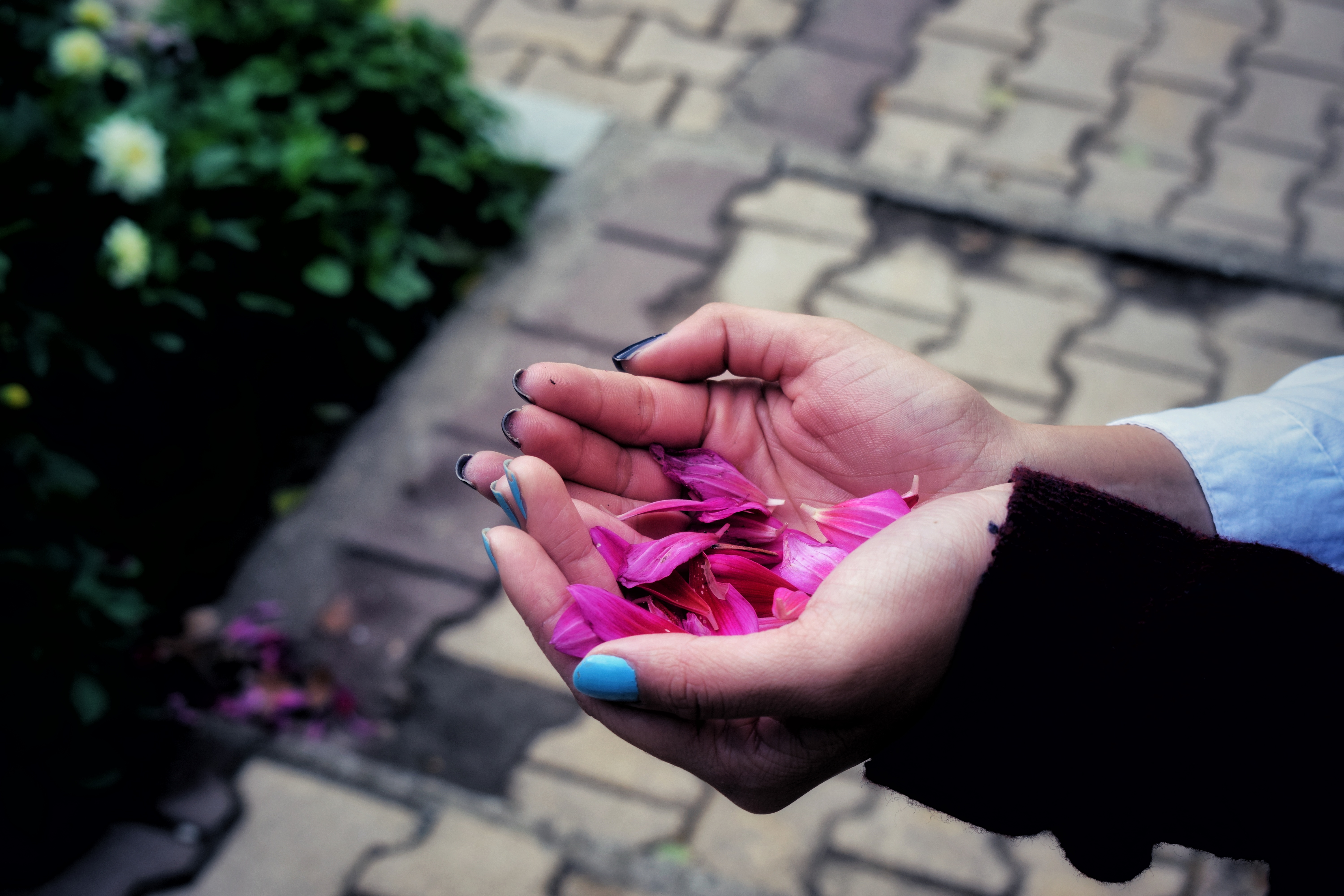 Deseta Zevsova ćerka, multiKUL 3