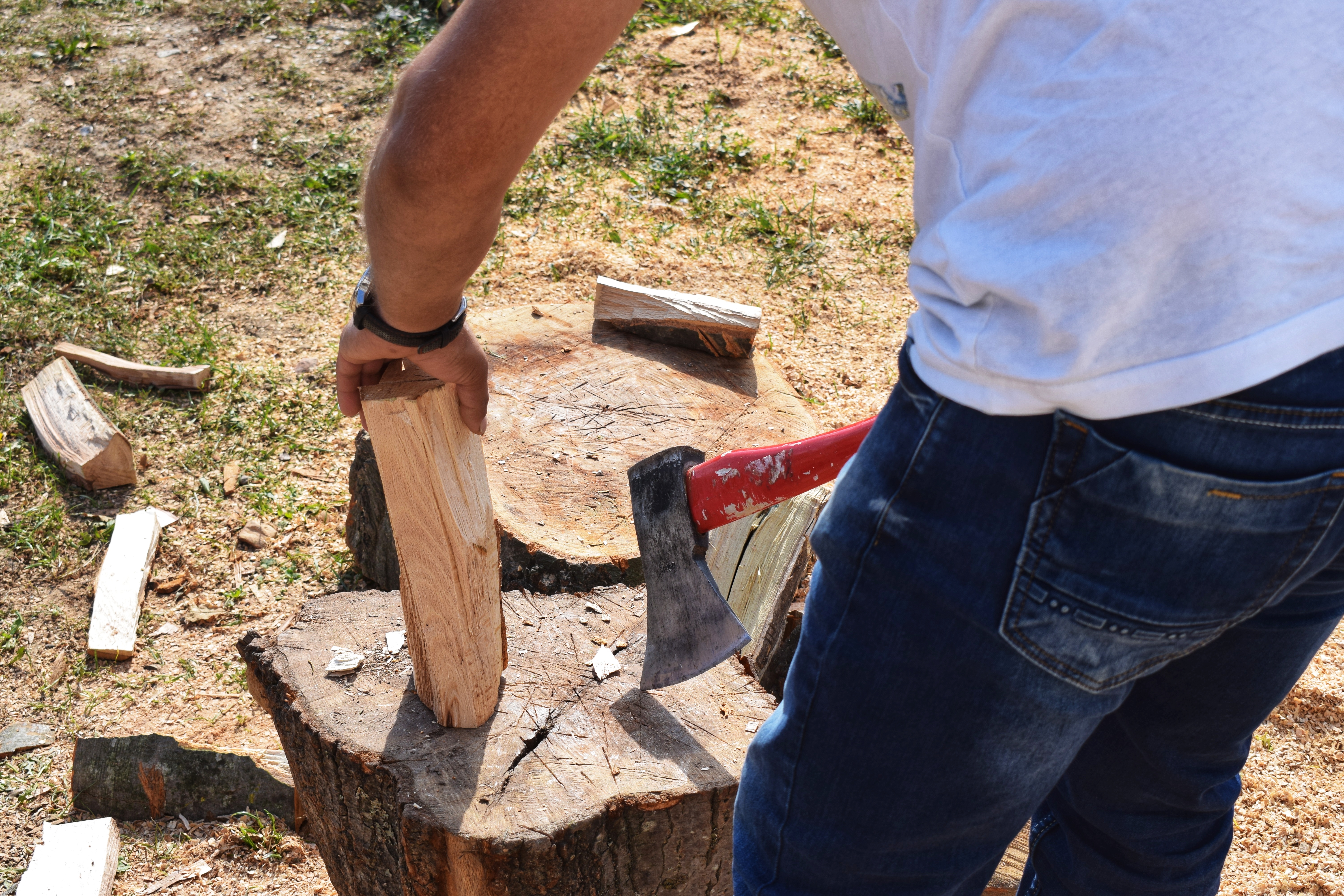 Ovde je moj dorucak, multikul Srbija 2