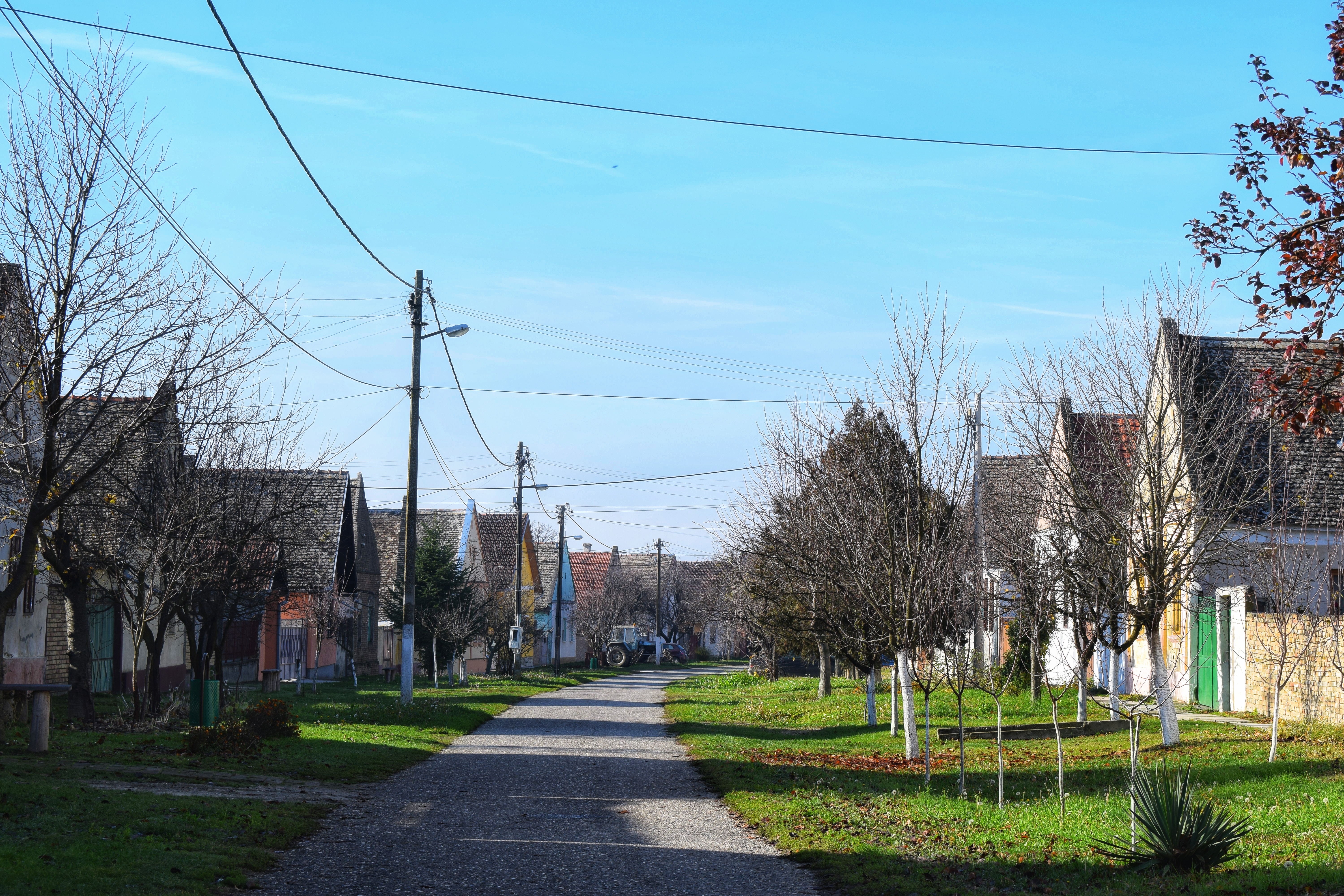 multiKUL Srbija-Zelite li da se obogatite, 18