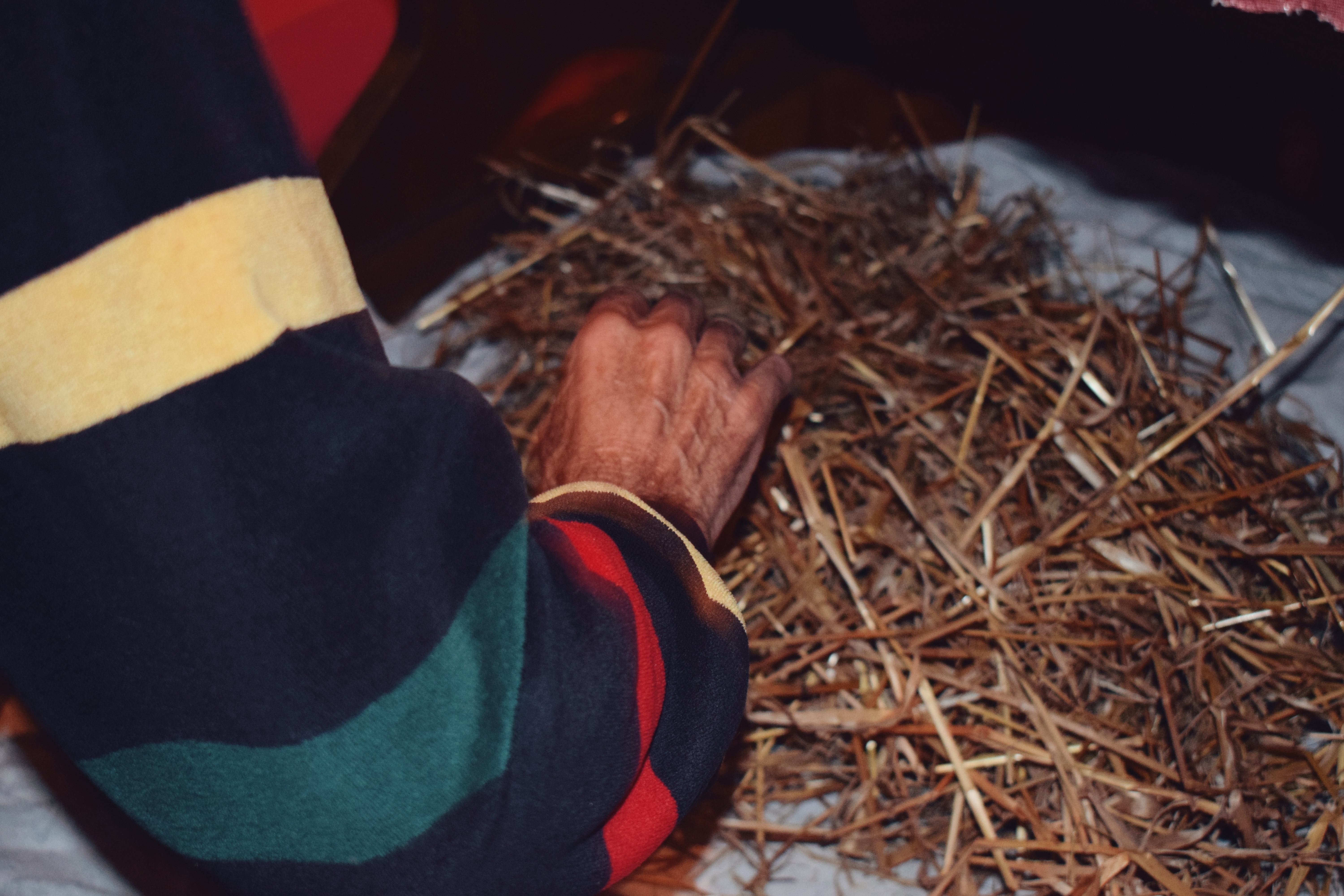 Multikul Srbija, Na danasnji dan, 13