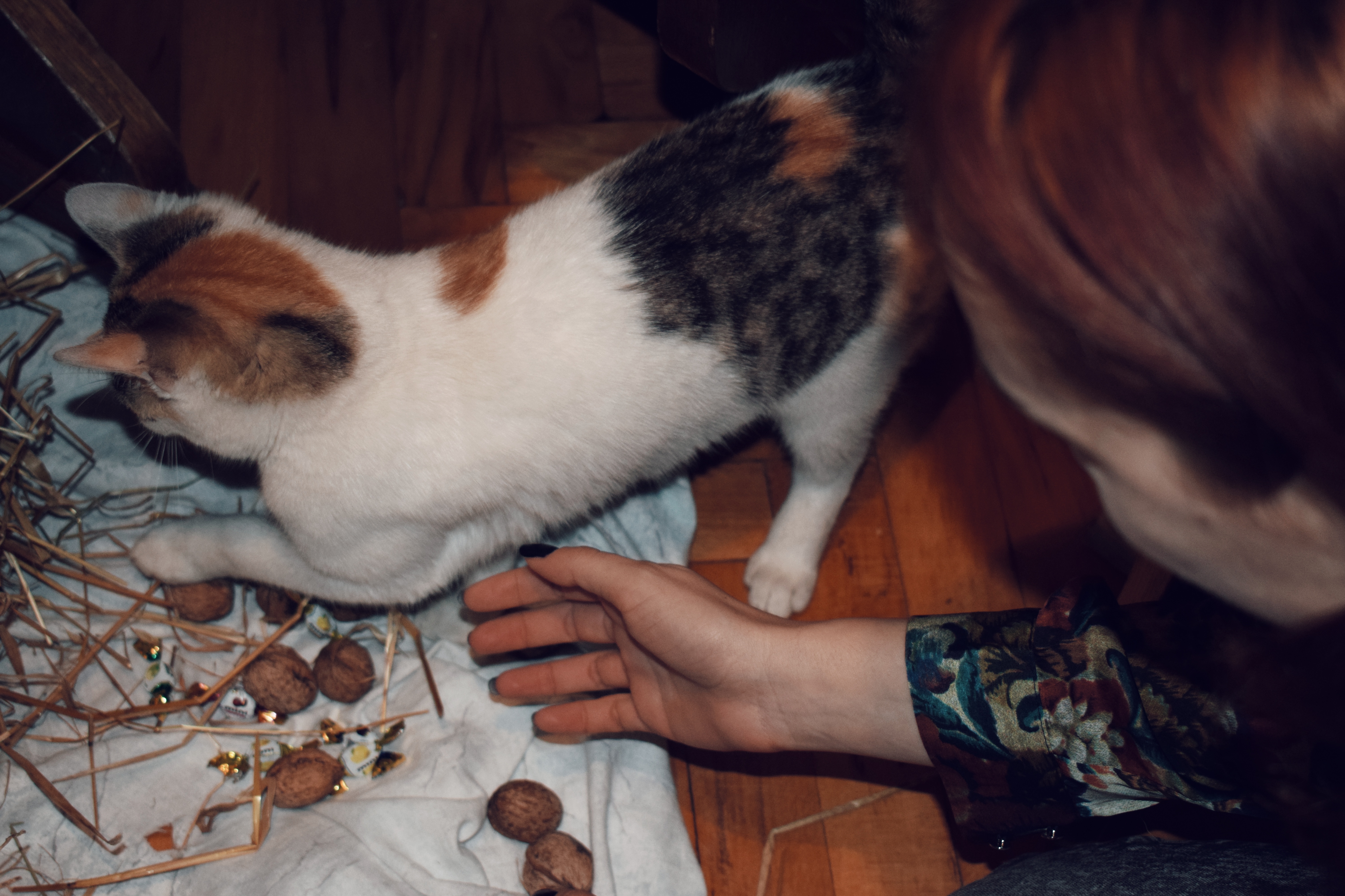 Multikul Srbija, Na danasnji dan, 9