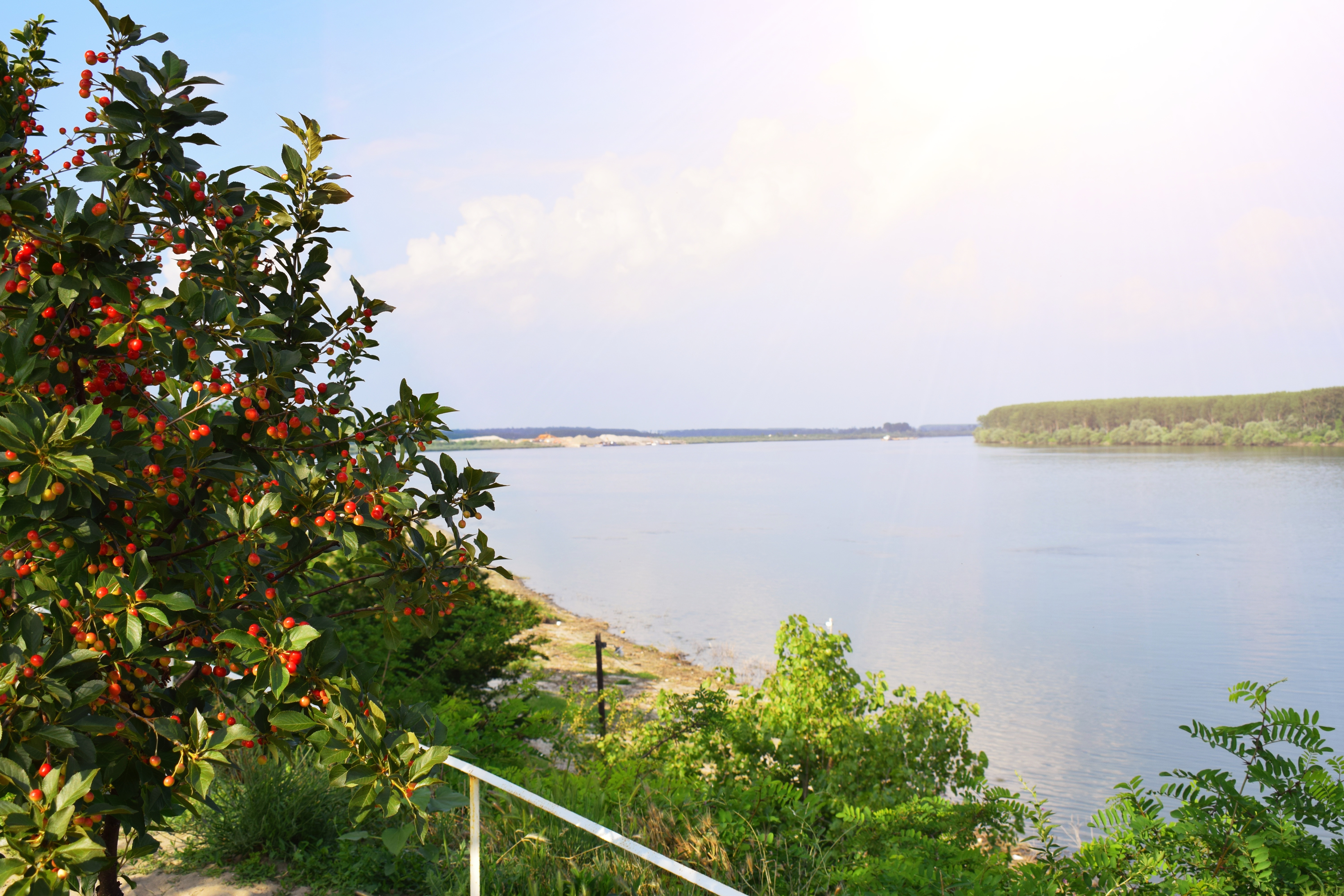 Drugačija priča o muzeju, multikul Srbija, 11