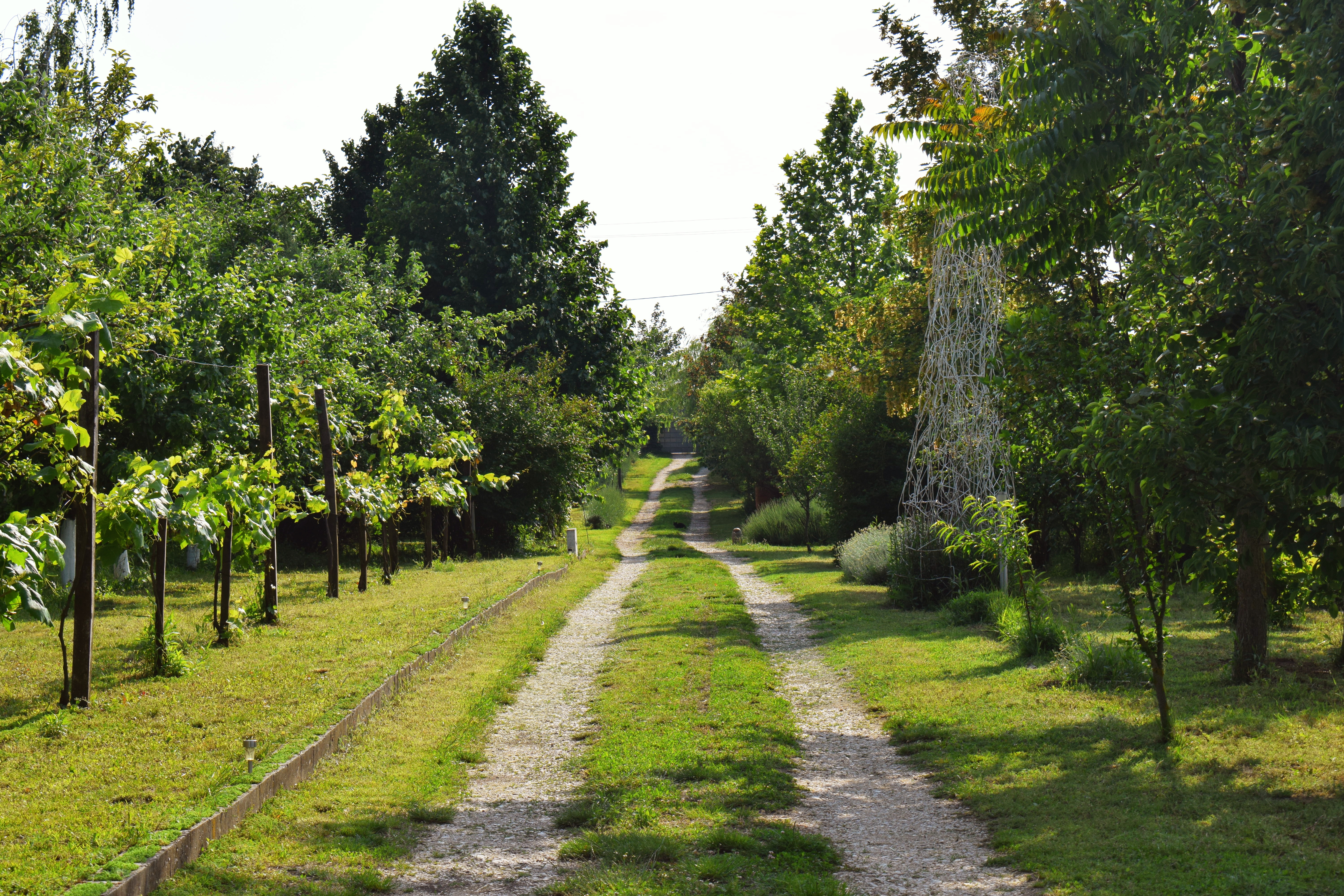 Drugačija priča o muzeju, multikul Srbija, 4
