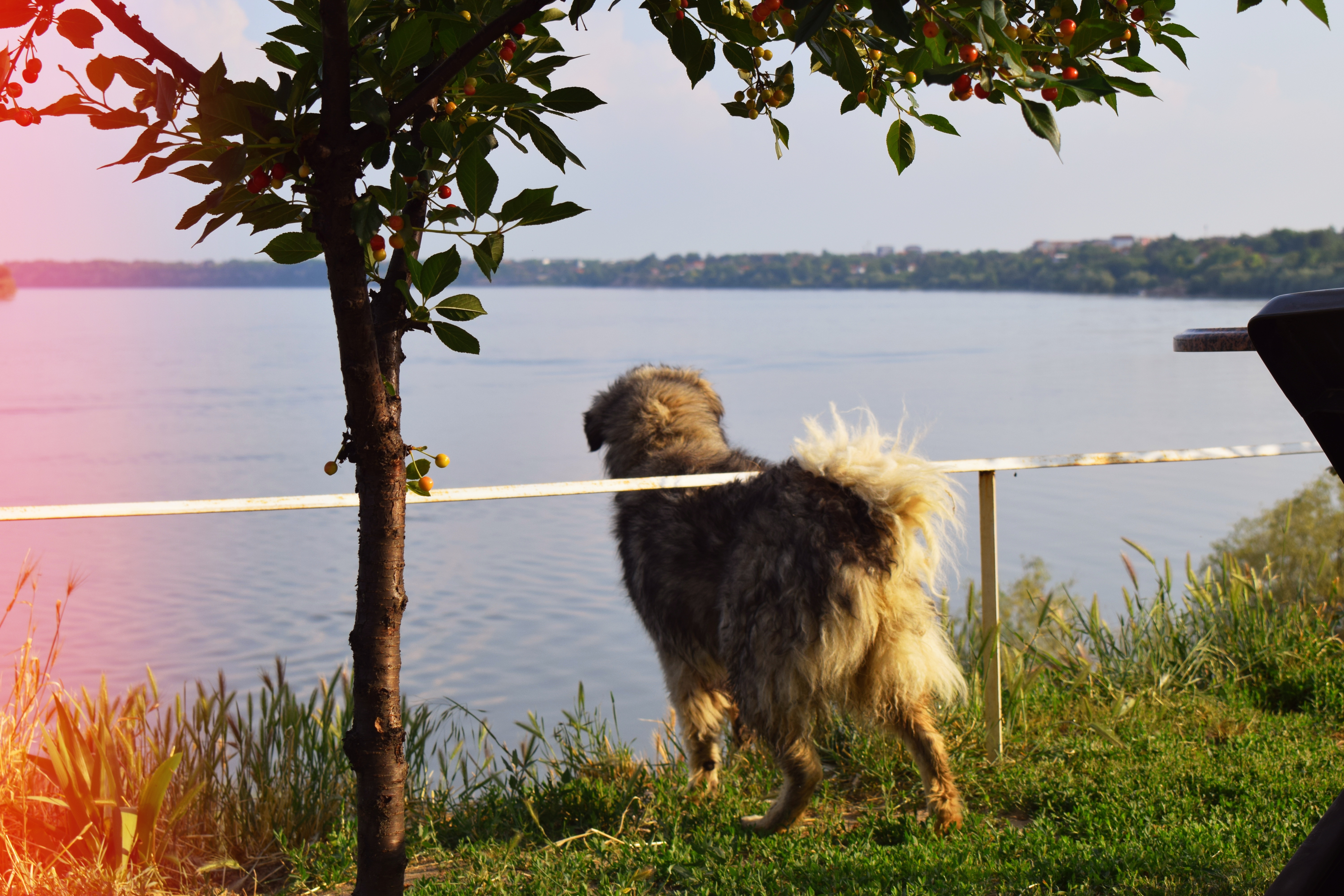 Drugačija priča o muzeju, multikul Srbija, 7