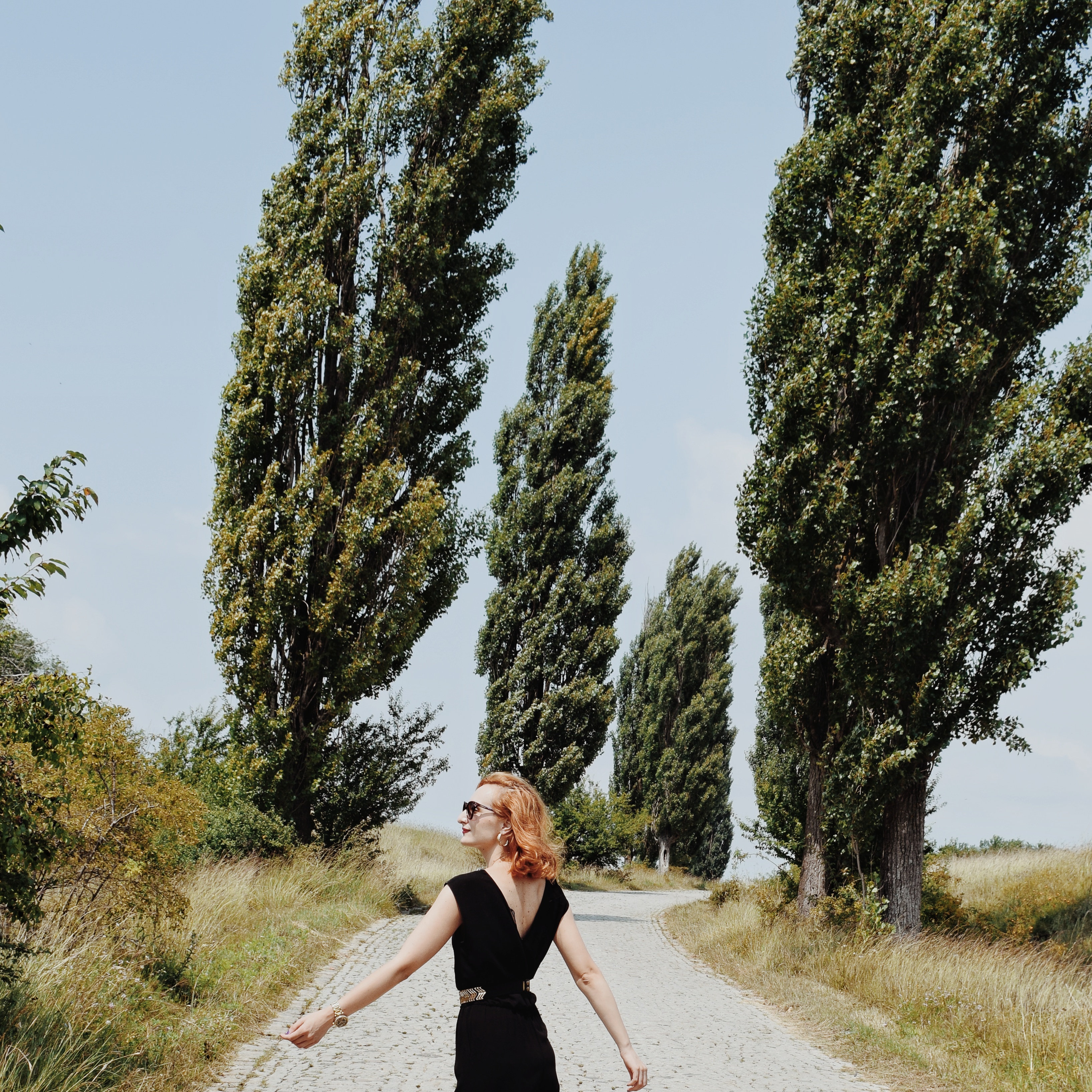 multikul Srbija, Putokazi na kraju kaldrme, 1