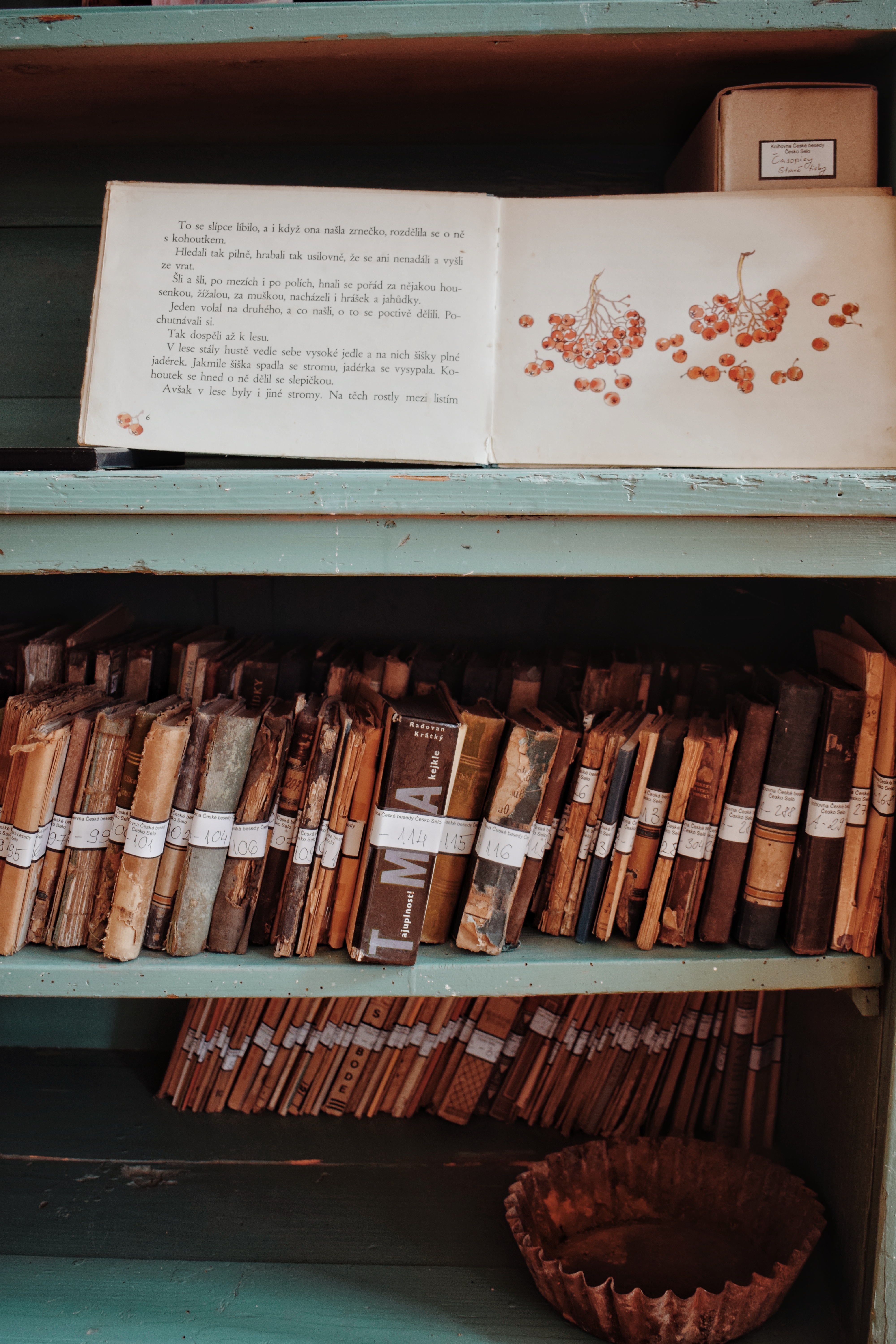 multikul Srbija, Putokazi na kraju kaldrme, 13