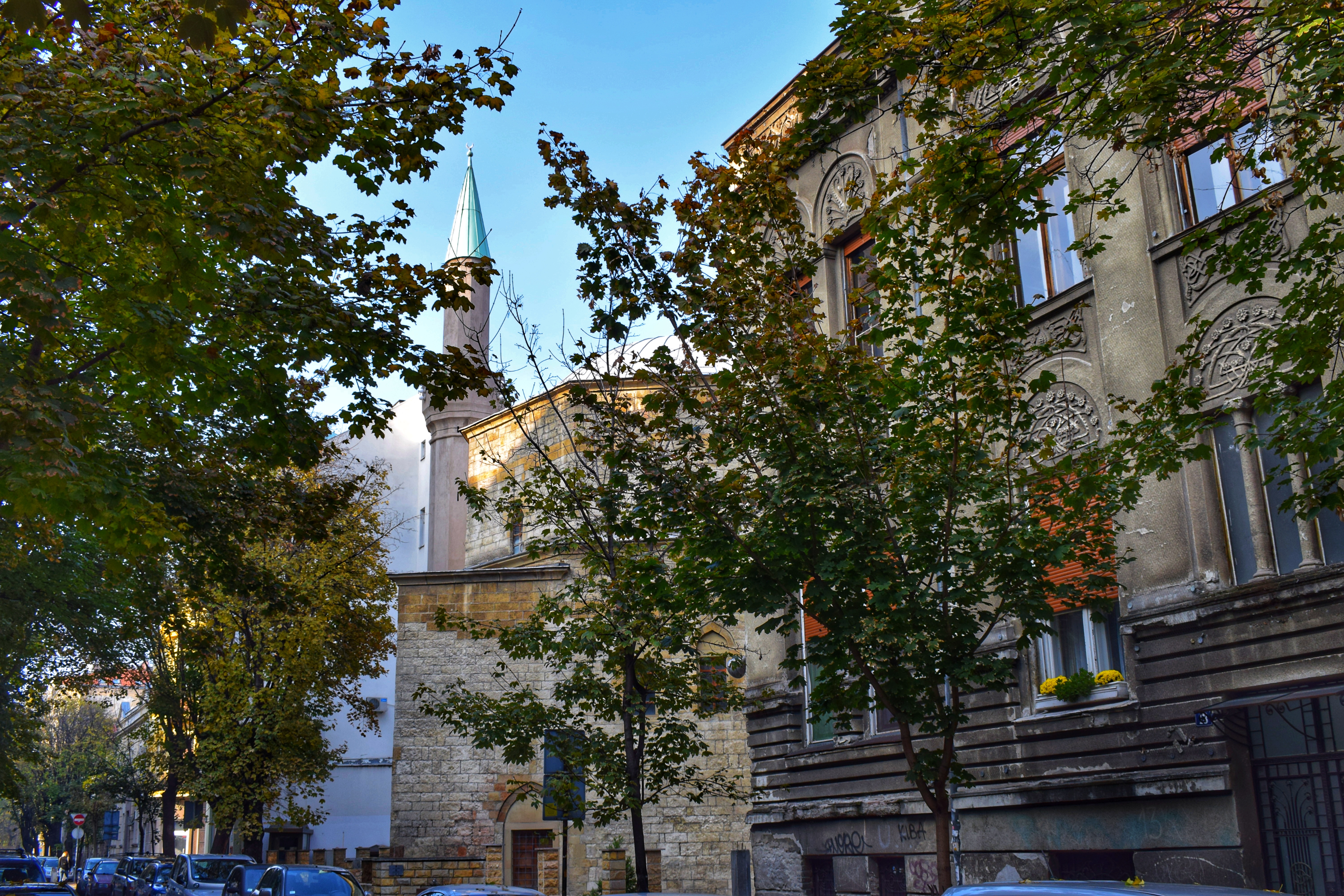 multikul Srbija, multikul šenje 8